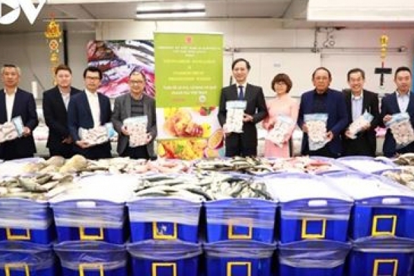 The UK market - an optimistic destination for Vietnamese pangasius in 2023
