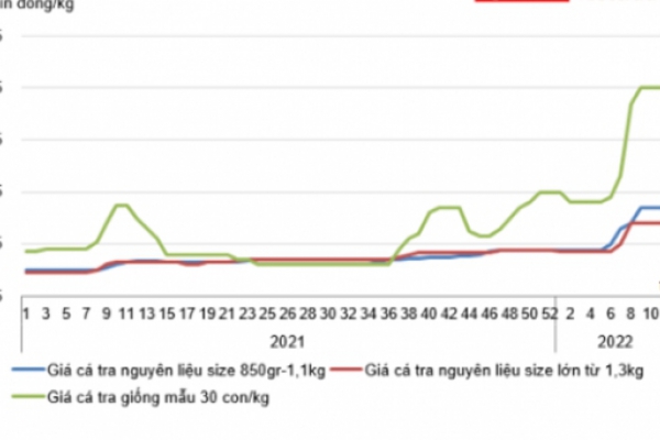 The UK market - an optimistic destination for Vietnamese pangasius in 2023