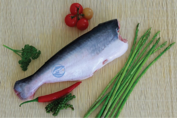 Frozen Pangasius HGT