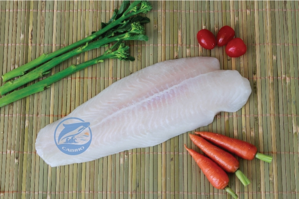 Frozen Pangasius Fille
