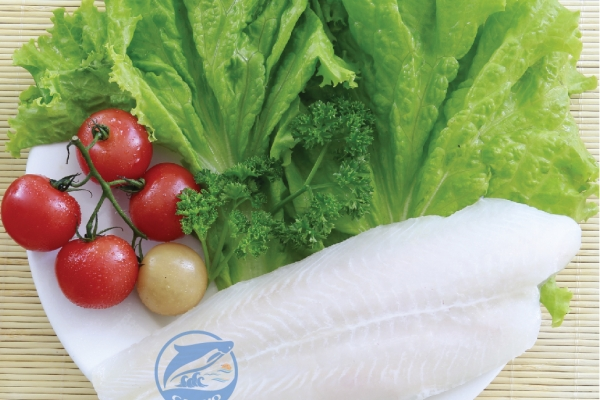 Frozen Pangasius Fillets